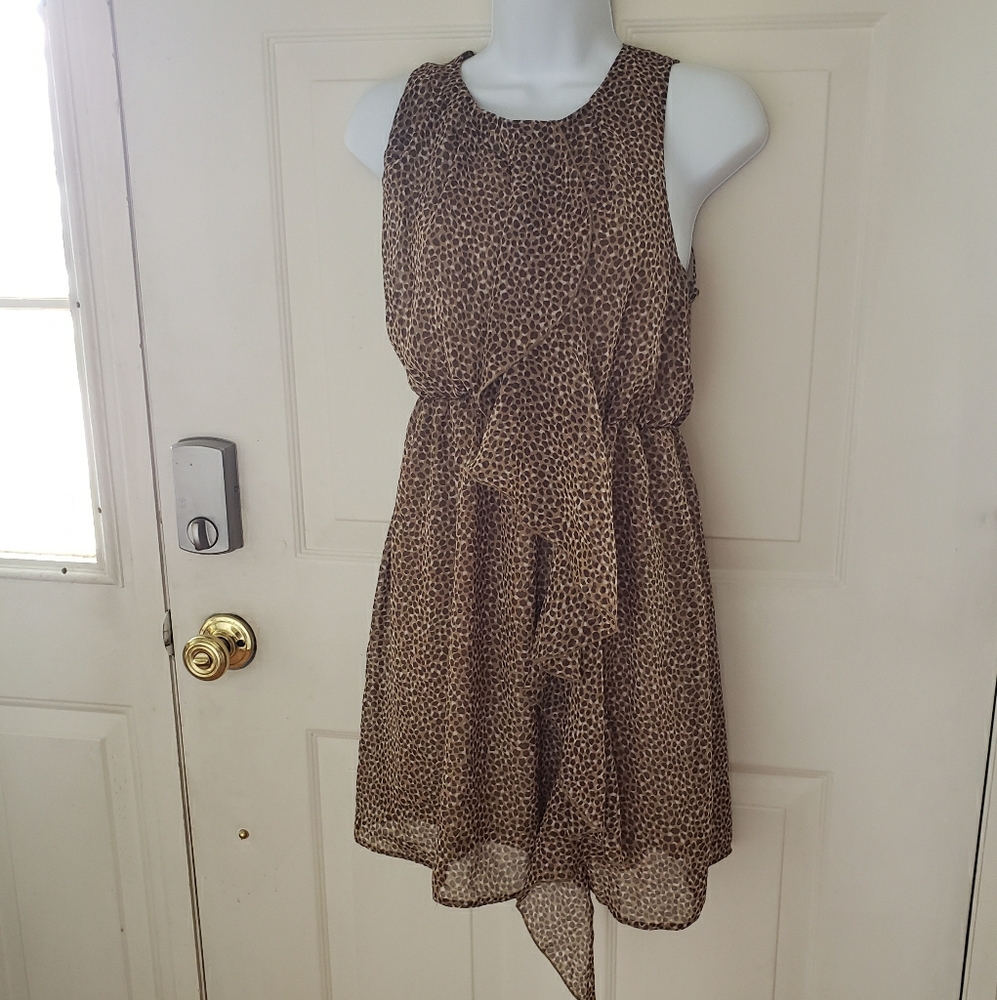 H&M Cheetah Print Dress